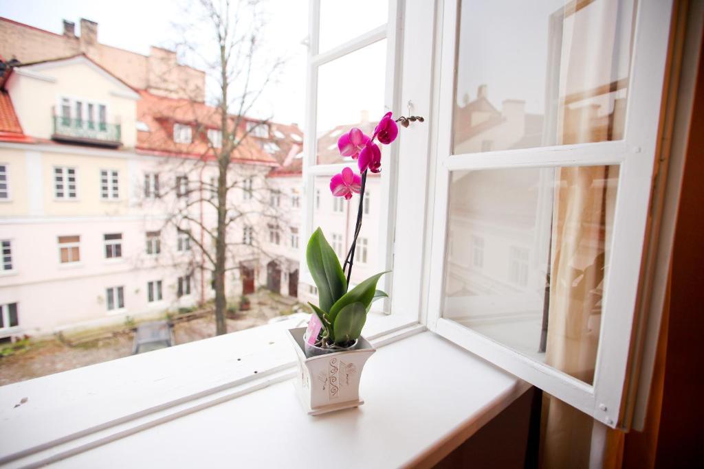 Skapo Apartments VNO Buitenkant foto